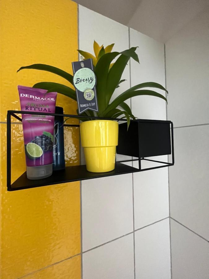 Monstera I Διαμέρισμα Kolín Εξωτερικό φωτογραφία